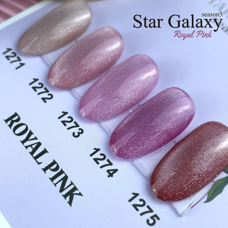 ICE GEL Color Gel ABLACK Star Galaxy Gel 1273 0.1