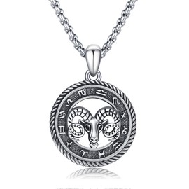 PARYFO Constellation Necklace 12 Zodiac Sign Pendant Necklace Horoscope Chain Oxidised Pendant Constellations Astrology Necklace Birthday Gifts for Women Men Unisex, Sterling Silver