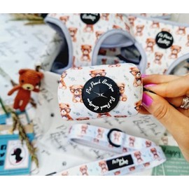 Pet Pooch Boutique RUSTY BEAR POO BAG HOLDER