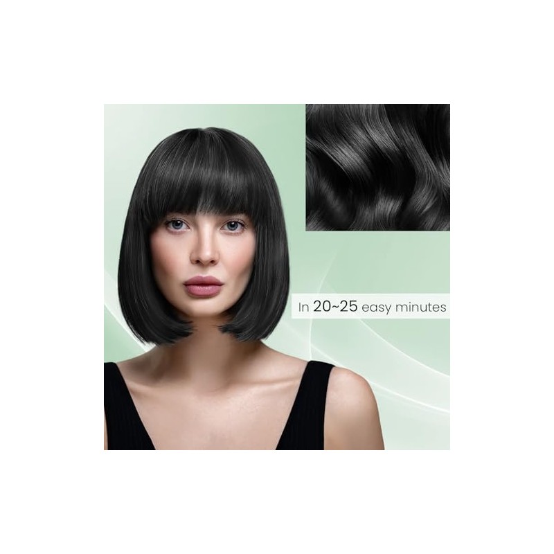 KAISASA Champú para teñir el cabello negro 3 en 1