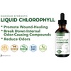 [2-Pack] Liquid Chlorophyll Drops - All-Natural Concentrate – Immune System