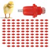 QANYEGN 100Pcs Poultry Screw Style Nippler Waterer, Chicken Nippler Drinker