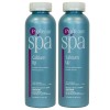 ProTeam Spa Calcium Up 1lb 2 Pack Raise Calcium Hardness Increaser for Hot Tub