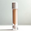 Tense Concealer Clean Moment Day Proof Concealer / 텐스 컨실러