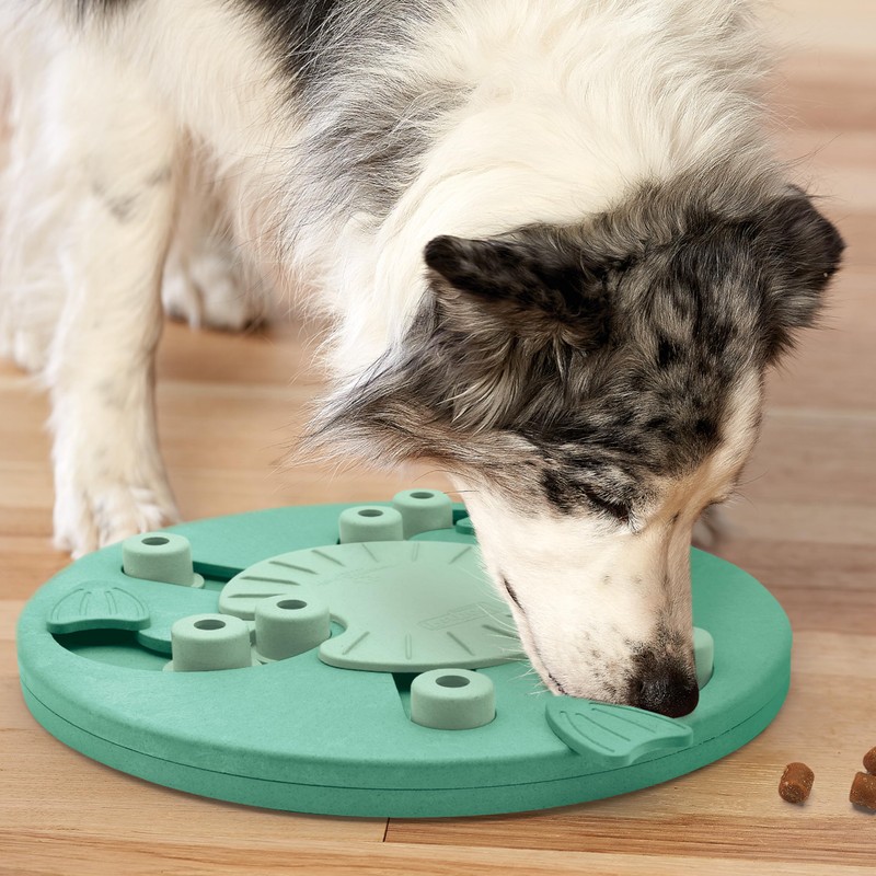 Outward Hound by Nina Ottosson Dog Worker Treat Puzzle Enrichment