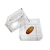 MagniPros Pack of 3 Magnifier Box Bug Viewer Magnifies up