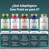 Hongo Chaga Cápsulas 500 Extracto Puro Adaptógeno Antioxidante Sistema Inmune