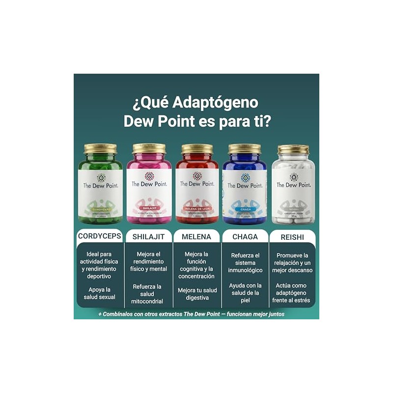 Hongo Chaga Cápsulas 500 Extracto Puro Adaptógeno Antioxidante Sistema Inmune