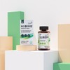 Welliz 웰리즈 보스웰리아정 1000mg x 60정 3개 6개월분 Welliz Boswellia