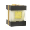 Lady Primrose, Royal Extract Boxed Jar Candle, 12 Ounces