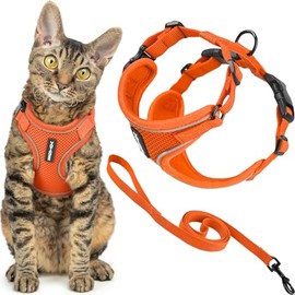 Voyager - Juego de arnés y Correa para Gatos a Prueba de Escapes con Costuras Reflectantes, Mango de Neopreno de 5 pies, soporta Gatos pequeños,...   