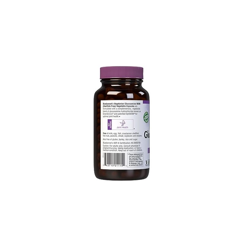 BlueBonnet Vegetarian Glucosamine Plus MSM Supplement, 120 Count