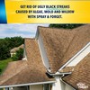 Spray & Forget 1-Quart Hose End Concentrated Roof Cleaner
