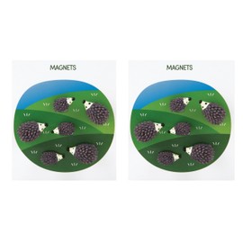 Three by Three Seattle Colorful Hedgehog Magnets | Adorable, Strong, and Perfectly Sized, Backed with Mighties® Mighty Magnets (12 Pack)