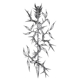 5 Sheets Temporary Rose Thorns Tattoo Arm Tattoo Thorns and Roses5