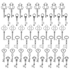 Salome Idea Skeleton Key Charm Set in Antique Silver (48 Charms) 6 Styles (Silver Color)