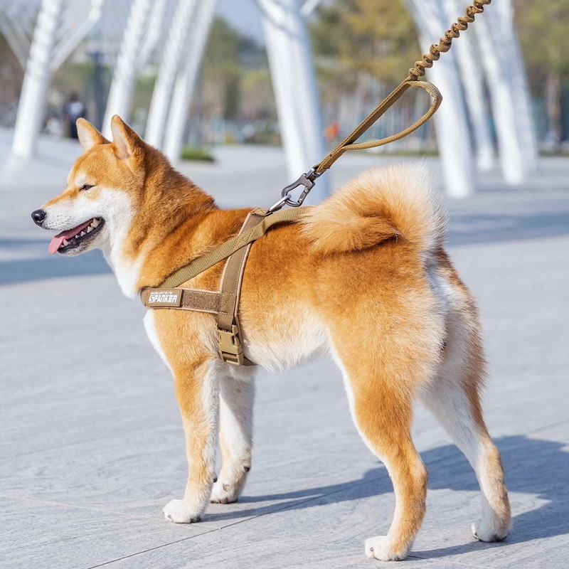 EXCELLENT ELITE SPANKER Harness, Nylon Harness, Dog, Small, Easy to