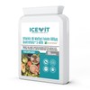 ICEVIT Methyl Folate 600µg – Quatrefolic® 5-MTHF | Active Vitamin