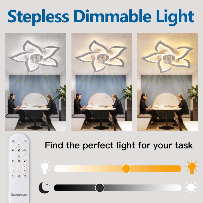 Dalouguan Flush Mount Ceiling Fan with Lights, 24" White ,Remote