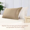 LILYSILK 19 Momme Silk Pillowcase Mulberry Silk Plain Cotton with