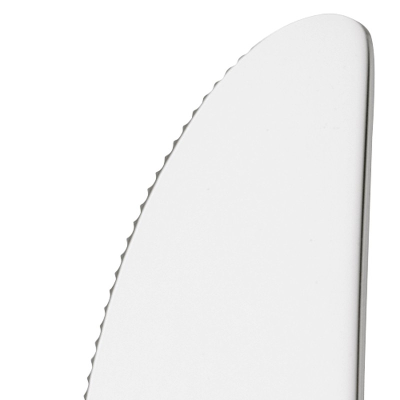 WMF Flame Plus Plus Menümesser 24 cm, Hohlheftmesser, Messer mit