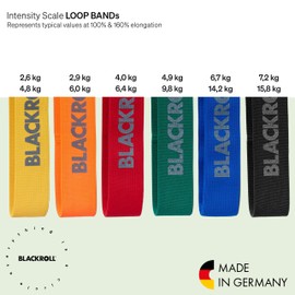 BLACKROLL Amlbbe Fitness Band, Loop Band, Exercise Band, Gymnastic Band, Sports Band with Strong Stretch, One Size, multicolour