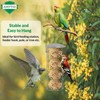 ADEPTNA Set of 2 Premium Hanging Fat Ball Wild Bird