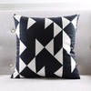 Modern Homes Black and White Throw Pillow Covers 16x16 inches;