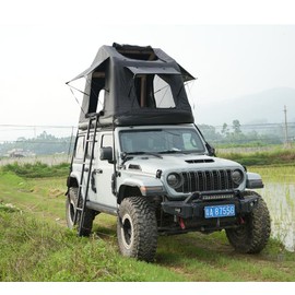 YLIEHS Versatile Portable Folding Aluminium Telescopic Ladder with Hooks, Non-Slip Design for Roof Racks and Tents, Black