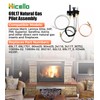 Hicello 69L17 Pilot Assembly Kit Replacement for Lennox Elite, Merit,