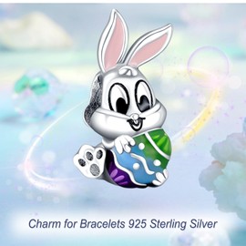 YUMINN Love and Heart Charms 925 Sterling Silver for Bracelets and Necklaces Pendant Beads Valentine's Day Mother's Day Jewellery Gifts for Women, Sterling Silver, Cubic Zirconia