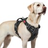 rabbitgoo Dog Harness for Large, No Pull Pet Harness with