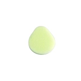 HAIR DOC Lotion Applicator Sponge, 2 CT