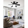 ZMISHIBO 2 Pack 17.9 Inch Socket Fan Light with Remote,