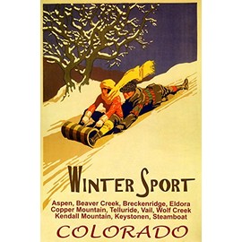 Colorado SKI Mountains Winter Sport Family Fun Sledding Down Snow Hills Toboggan Bobsled 20" X 30" Vintage Poster ON Canvas REPRO WE Have Other Sizes