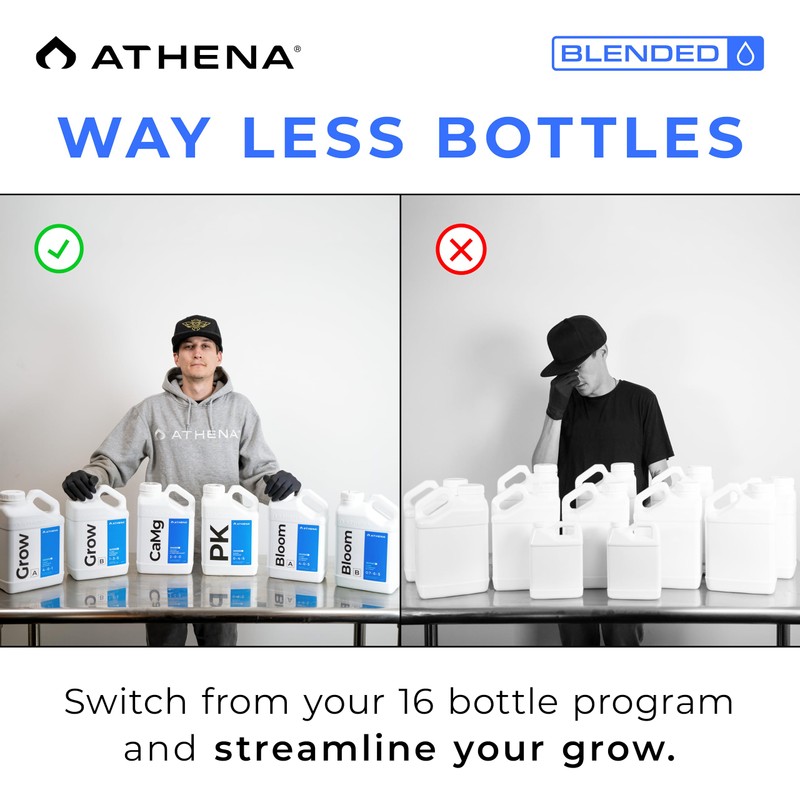 Athena CaMg 1 Gallon | Calcium, Magnesium, Iron & Nitrogen
