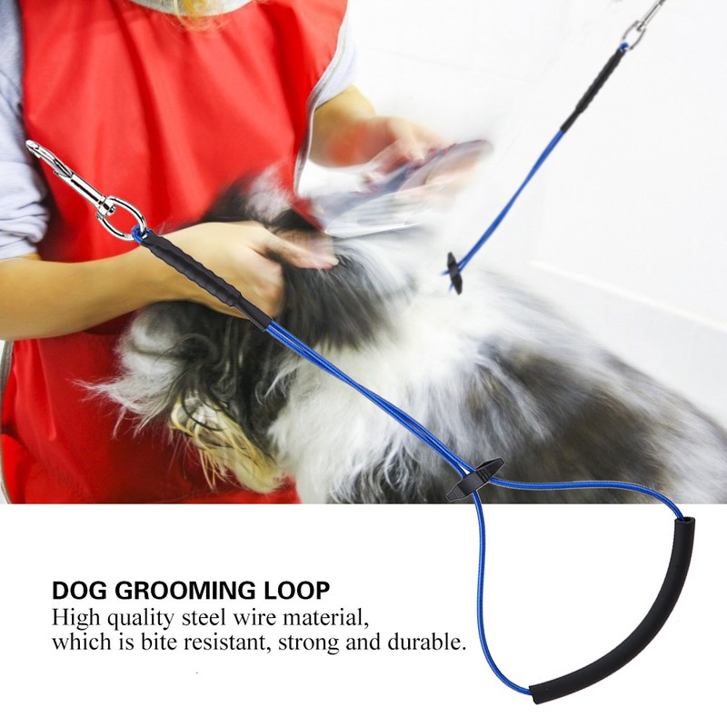 Dog Cat Grooming Single Noose Hoop for Pet Table Arm