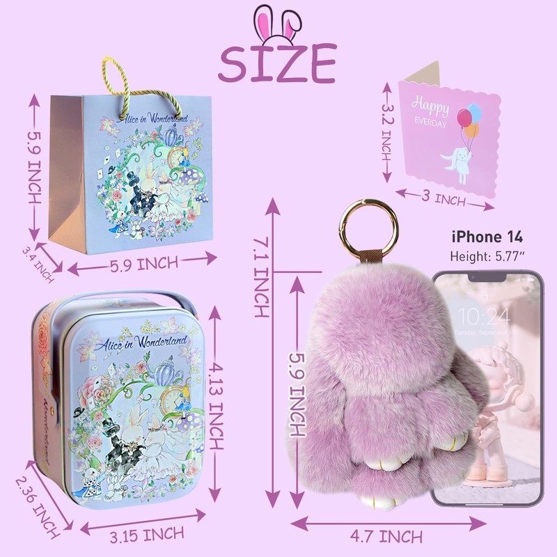 MINGRI Soft Bunny Keychain with Tin,Cute Plush Keychain Rabbit for