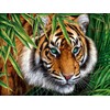 SunsOut Big Tiger 1000 Piece Jigsaw Puzzle for Adults by