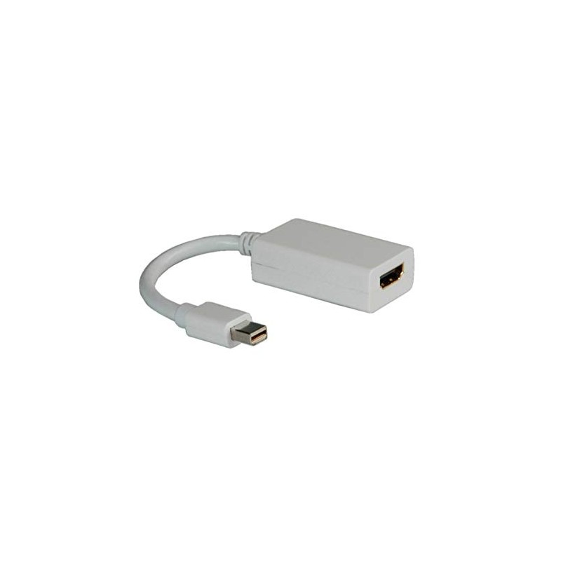 Rotronic Roline Adapter (Convert your Mini Display Port Male to