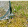 Royal Gardineer Plant Protector: Compact Pop-Up Greenhouse, Clear, Universal, 80