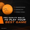 PRO-SPIN Ping Pong Paddles - High-Performance Set with Premium Table