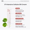 Erti 37 Intensive Cellular ER Tone-up Regeneration Cream 45ml 37
