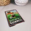 Shamrock Gift Company Guinness Ireland Toucan Magnet