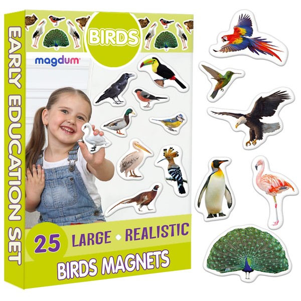 Fridge Magnets For Toddlers Magdum - 25 BIRDS Fridge Magnets - Animal Magnets For Toddlers - Fridge Magnets For Kids - Kids Magnets - Magnetic Shapes - Magnet Toy - Kids Magnets For Fridge