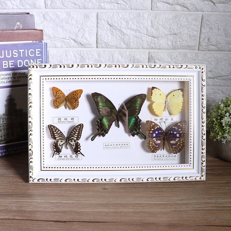 Exquisite Butterflies Insect Specimen Craft Birthday Gift Home Decor Ornament
