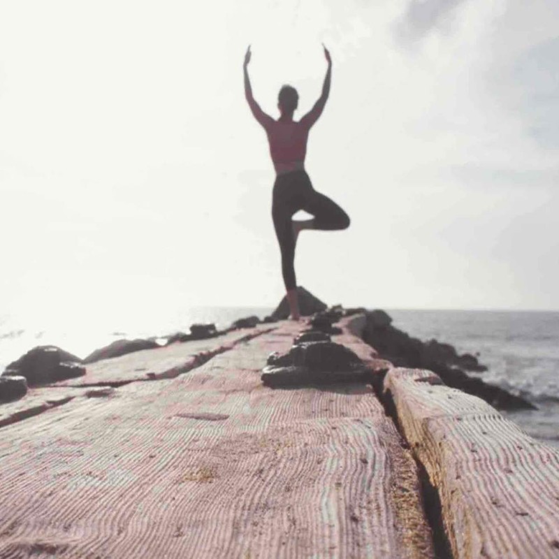 Sencha Green Tea by Chef Inspired, THÉ VERT Sencha, 1