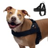 DF Co. Dog Harness | Chafe Resistant Webbing, Adjustable Neck