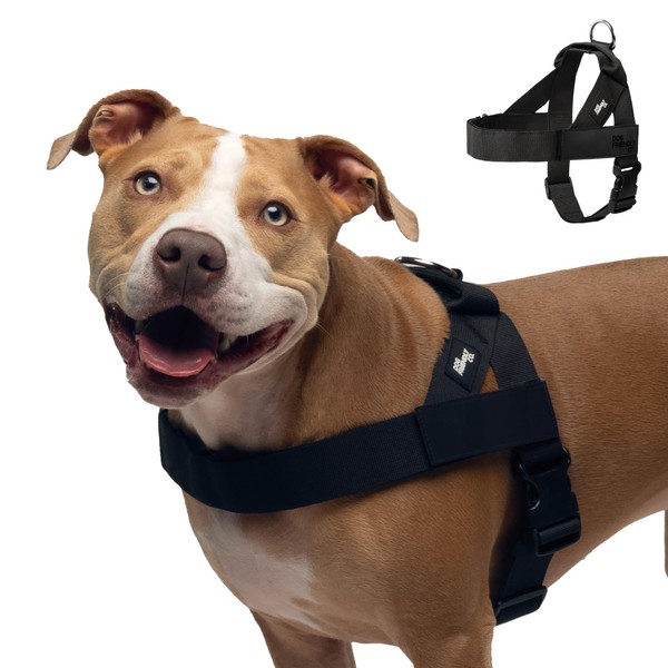 DF Co. Dog Harness | Chafe Resistant Webbing, Adjustable Neck
