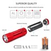 FASTPRO 20-Pack 100 Lumen Super Bright Aluminum LED Flashlights Set,